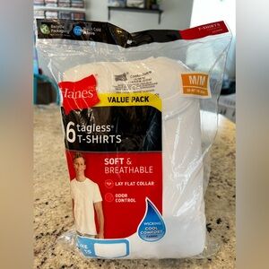 Hanes Tagless T-Shirt (Medium)